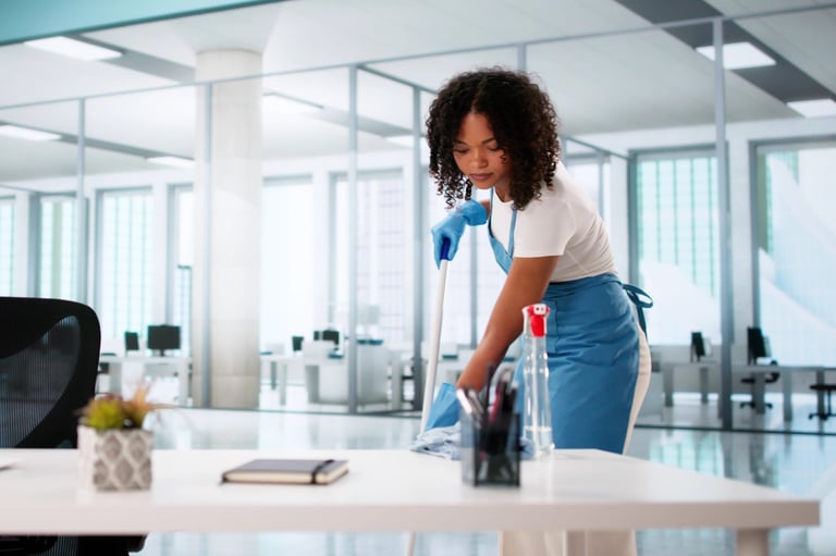 Professional cleaning team